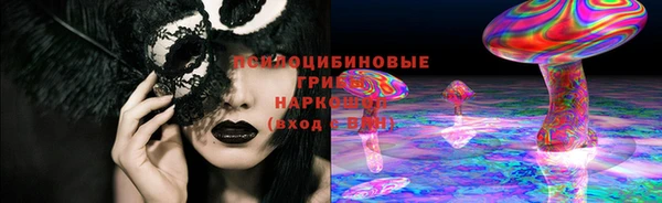 хмурый Абинск