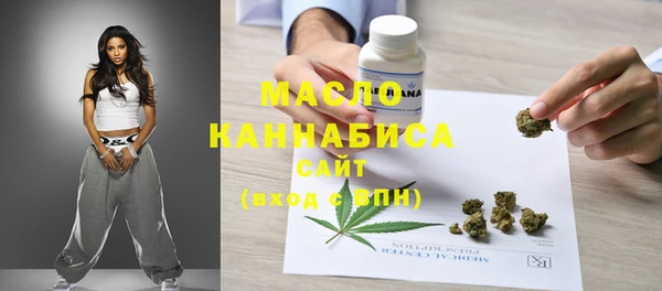 индика Абаза