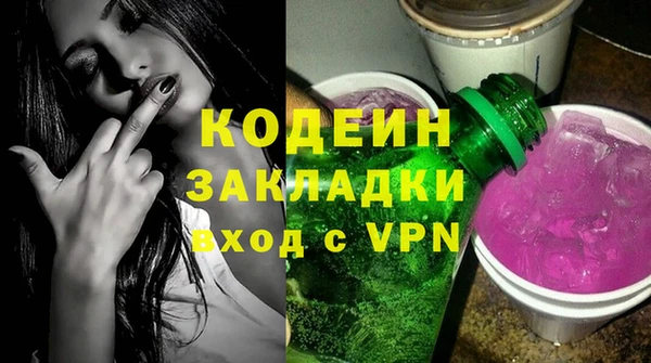 индика Абаза