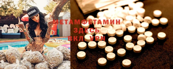 индика Абаза