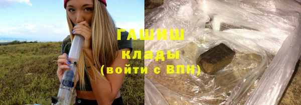 индика Абаза