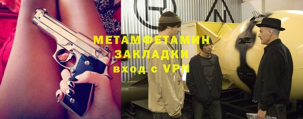 индика Абаза